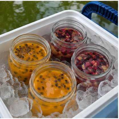 Fresh fruit placed on ice for Fruity Puppy